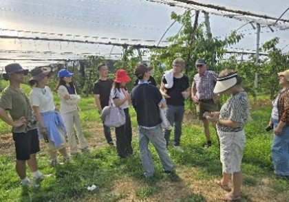 group of people in cherry plantagion